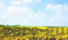 成人的视频-成人视频，数字时代下的文化现象与影响