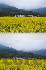 溏心糖心视频app-多元娱乐新维度，糖心视频app的魅力探索
