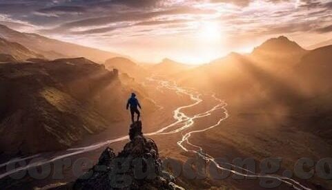 糖心vlog官网首页蜘蛛-糖心Vlog官网首页的奥秘与搜索引路的蜘蛛