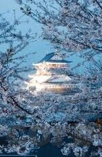 亚洲欧洲一区二区-亚洲与欧洲，文化与地域的独特魅力